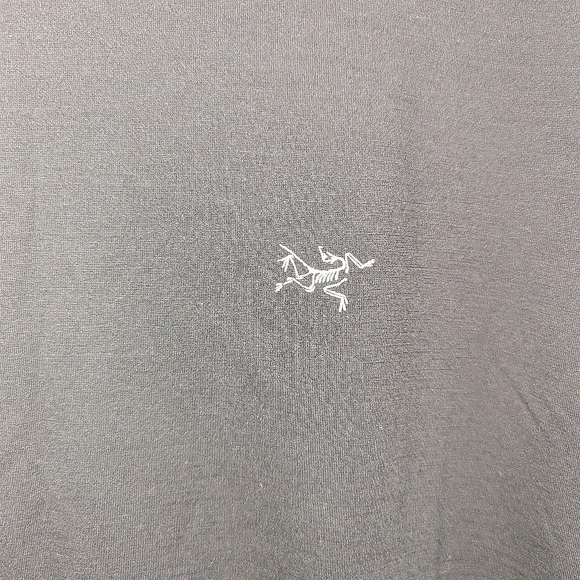 *NWT* Mens Arcteryx Ionia Merino Wool Hoodie - Size L - Black - Picture 2 of 4